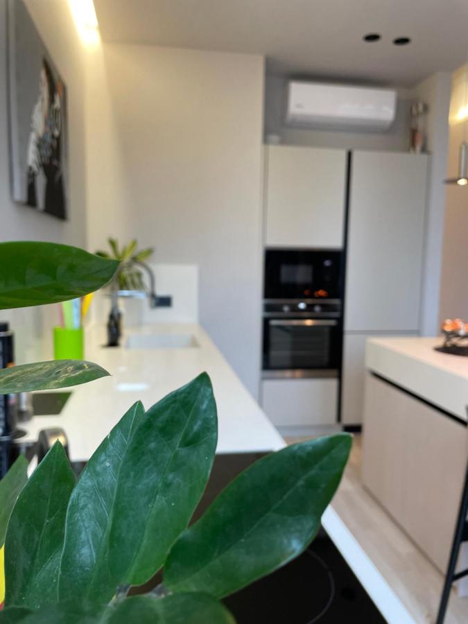 Arcadia Apartman Odessza Kültér fotó