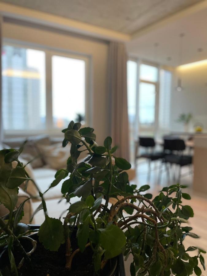 Arcadia Apartman Odessza Kültér fotó